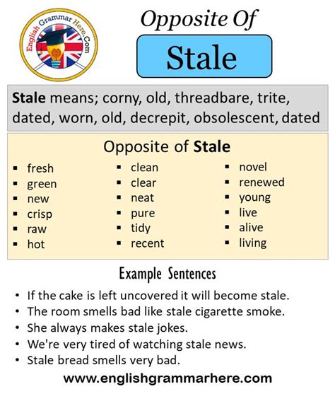 stale deutsch|antonym of stale.